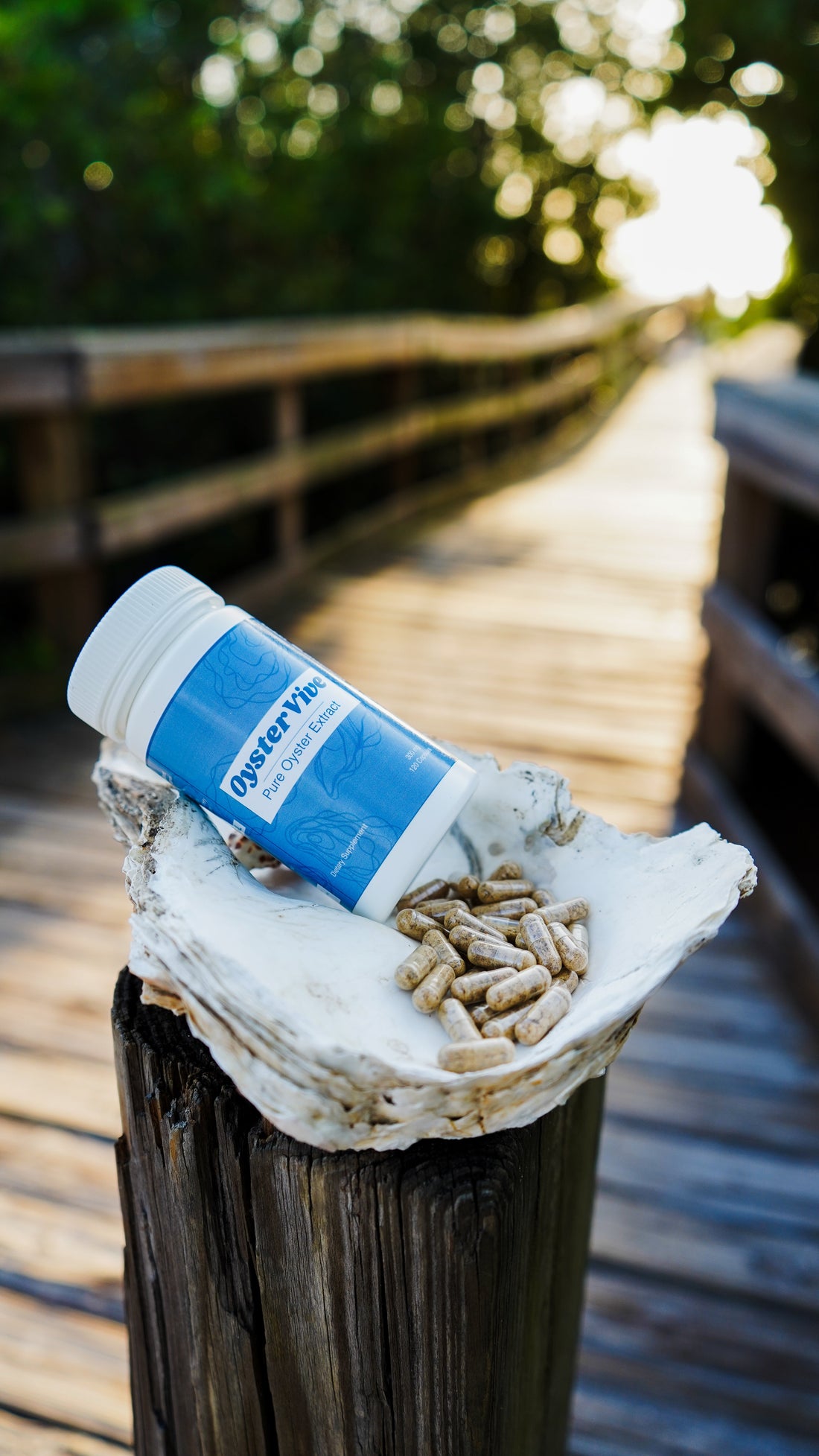 Why Oysters are Nature’s Most Potent Zinc-Rich Superfood