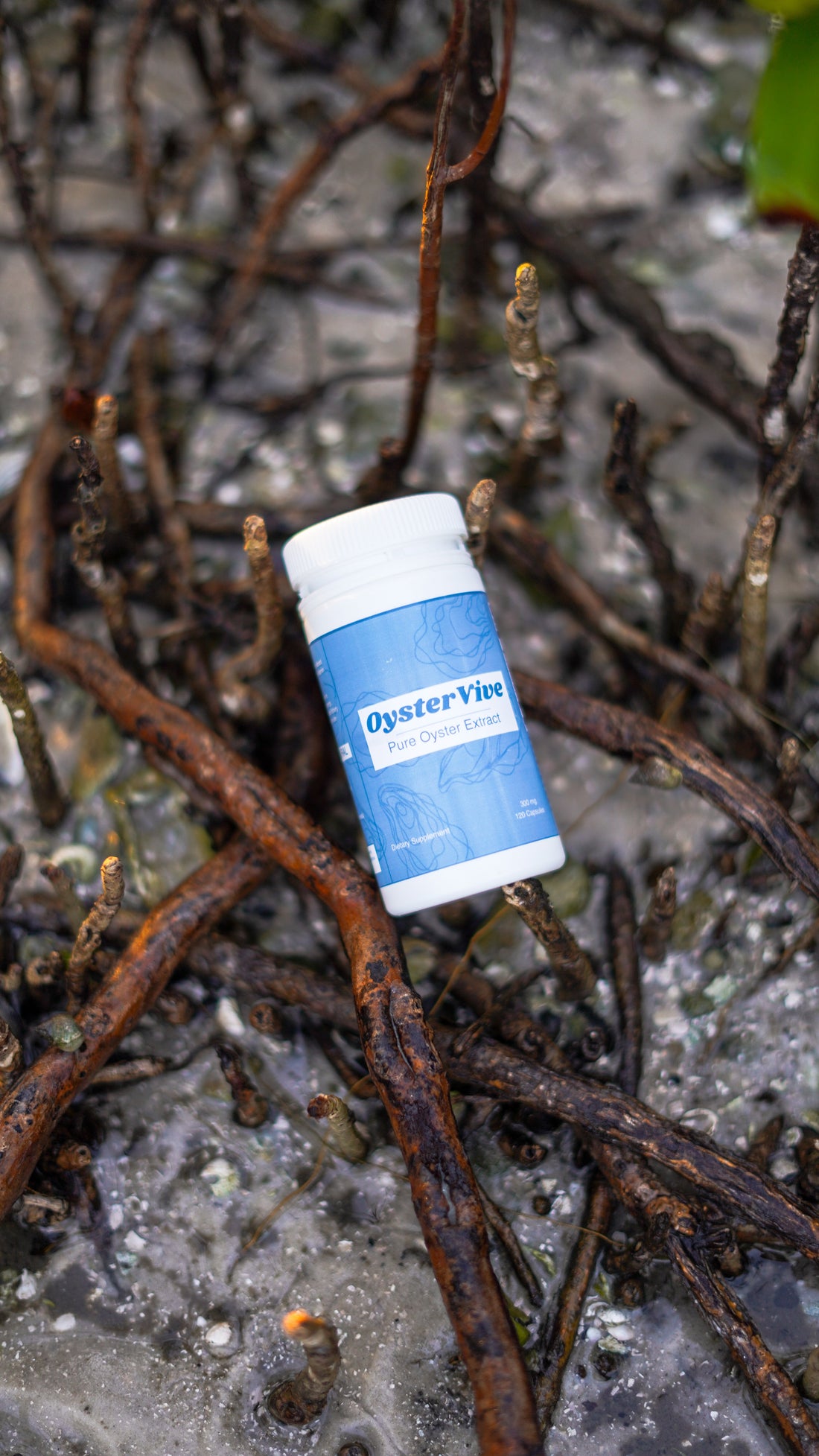 Why Oyster Extract Capsules Are the Ultimate Zinc Supplement